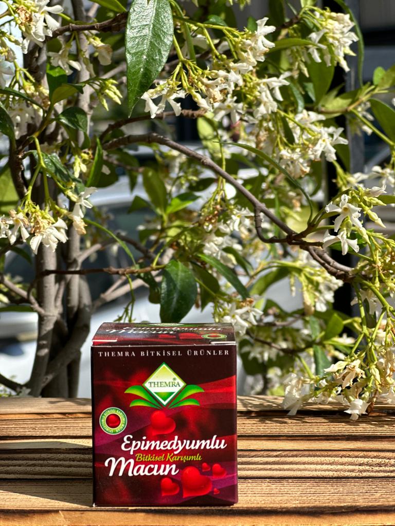 THEMRA STICK MACUN 12G